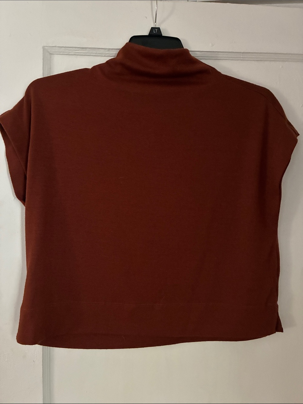 entro Women's Rust Turtleneck Short-Sleeve Sweater